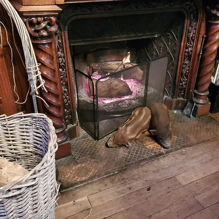 Habitación en casa particular Domaine De La Bréssandière *