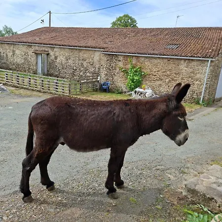 Domaine De La Bréssandière Habitación en casa particular *